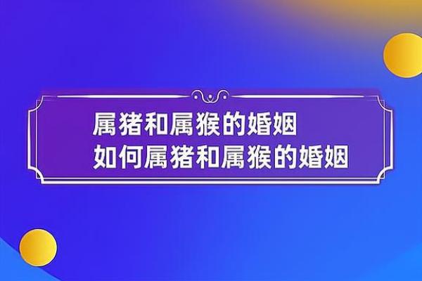 属狗女和属牛男是否是理想情侣