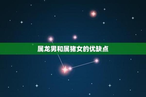 属龙男和属牛女的星座配对解析