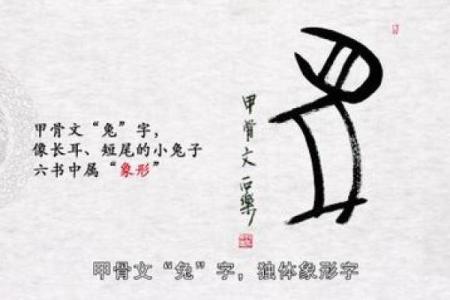 了解甲字与生肖背后的象征意义