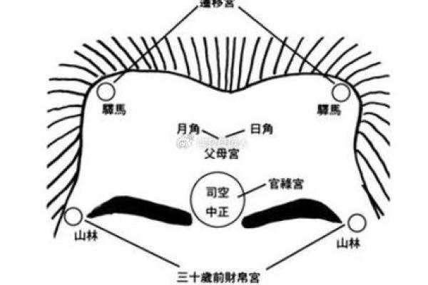 大贵面相详解：如何识别和提升贵人运势