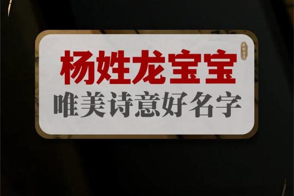 如何为杨姓宝宝选择合适的名字