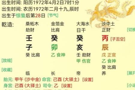 免费八字排盘：揭示你的人生轨迹