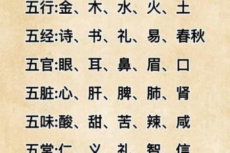 信字的五行属性解析与应用探讨