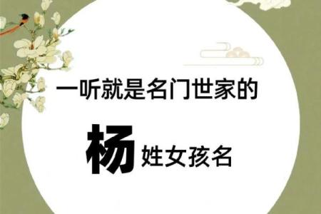 如何为杨姓宝宝选择合适的名字