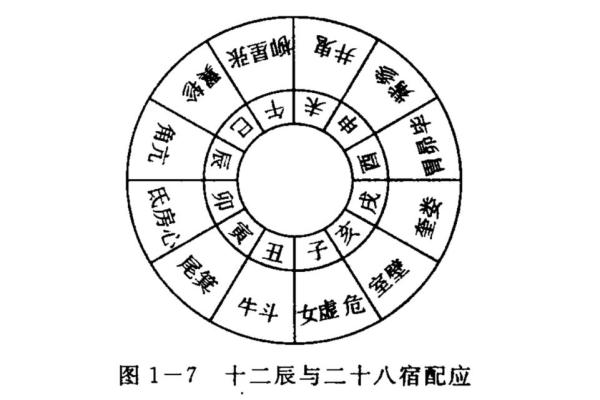 天干指的是中国古代天文历法中的十种基本符号解析