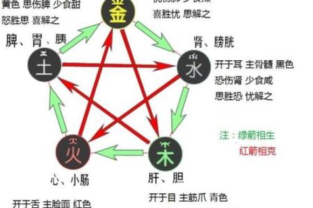 五行属水的颜色与性格特征的关系解析