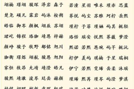 为宝宝挑选合适名字的技巧与建议