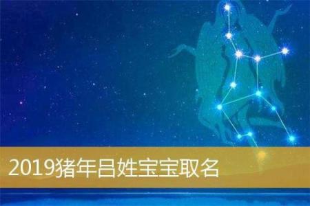 猪宝宝名字大全：取个既吉利又有趣的名字