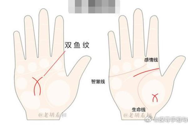 双鱼纹在手相学中的象征与解读