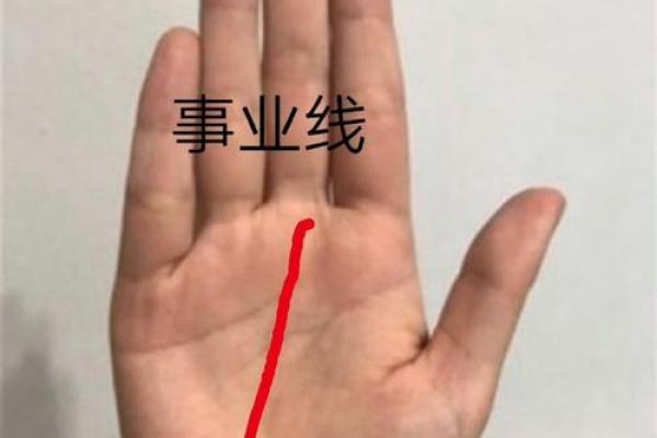 指节手相与性格揭秘：从手掌看人生的内在潜力