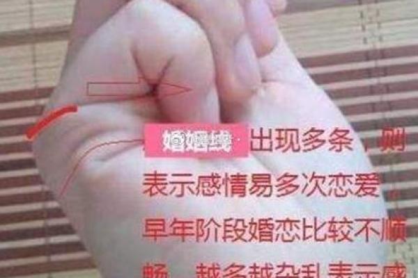 探索天干地支合婚对婚姻关系的深远影响