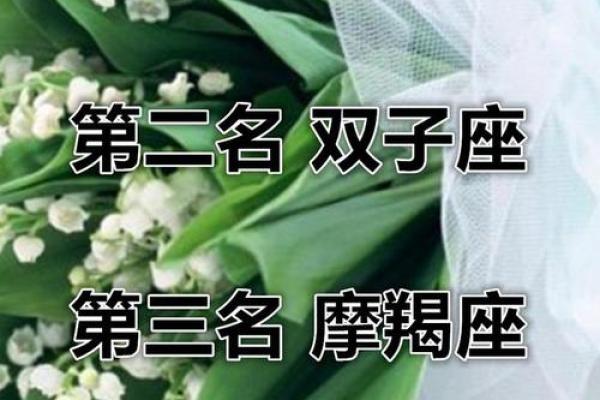 金牛座运势全面解析：财富与感情双丰收的关键时刻