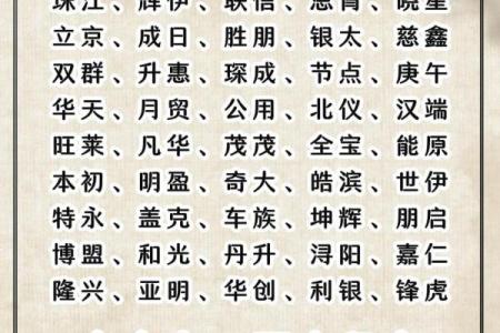 公司注册起名查询必知事项，避免名称被驳回