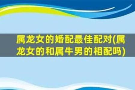 属龙与属狗的配对分析：两者能否携手共度一生