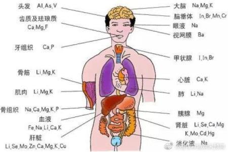 探索天干与人体不同部位的关系