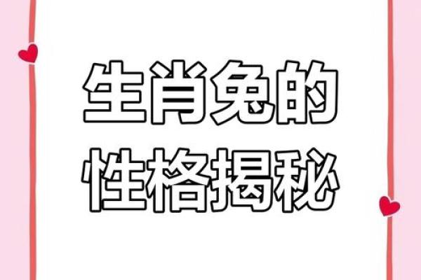 属兔人今日运势解析：幸运与挑战并存的一天