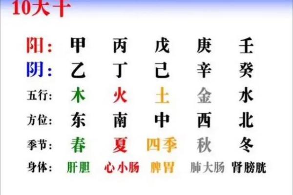 中医十天干与命理学：五行中的精髓