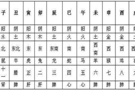 八字五行属性解析与应用指南