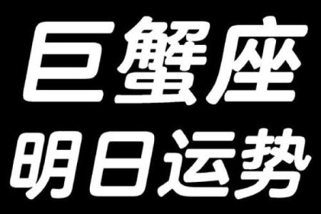 今日巨蟹座运势解析：情感与事业的平衡之道