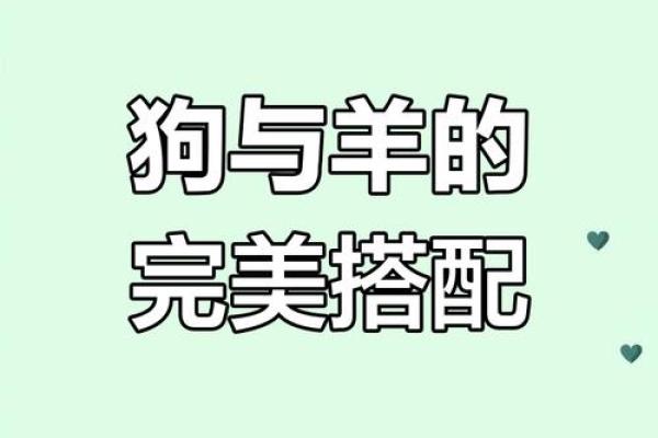 与羊相配的属相分析：最合适的生肖搭配是什么