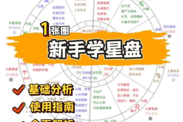 排盘的基本概念与实践解析