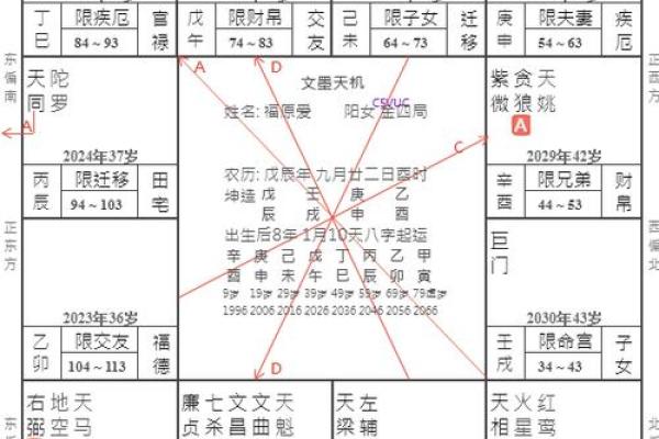 在线斗数排盘助你精准解析命理与未来走向