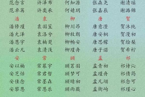 为夏姓男宝宝选择名字时需要注意的五大要素