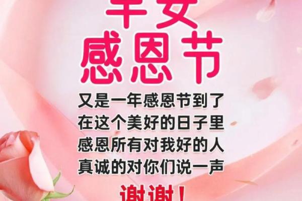 重要节日探索：感恩节与光棍节的庆祝传统