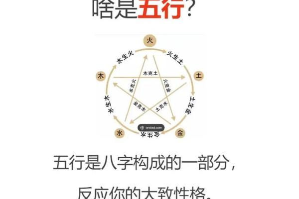 五行如何计算与应用指南