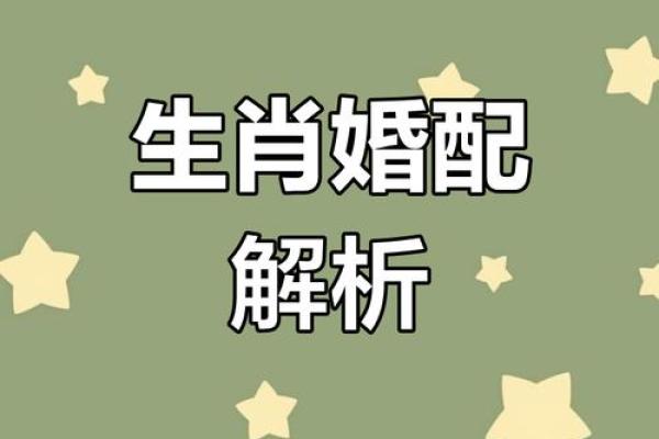 属兔男与属猴女的配对分析：天生默契还是性格冲突？