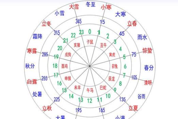 十天干谁最强？深入分析每个天干的优势与特点