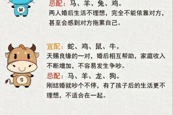 分析成群结队的生肖特点与象征意义