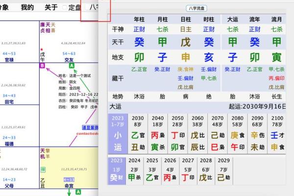 元亨紫薇排盘的深度解析与应用技巧