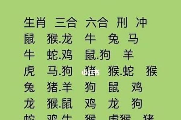 三十一岁属什么生肖？揭秘你的属相与命运关系