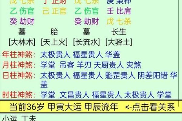 申五行属金还是木的解读与分析