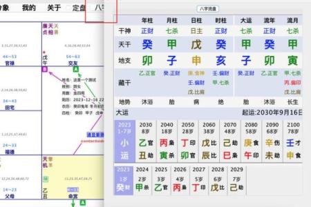 元亨紫薇排盘的深度解析与应用技巧