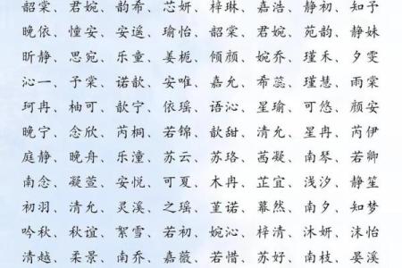 为出生宝宝起个独特名字的创意指南