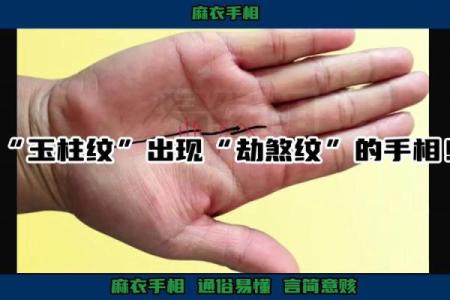 玉柱纹手相解析：揭示命运中的财富与事业之道