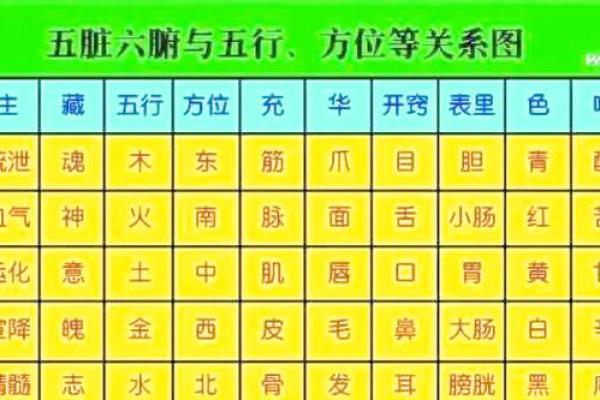 少字五行属性解析与命理影响