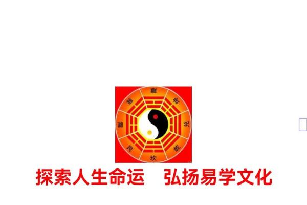 初学者必看，太乙神数排盘软件全方位解析