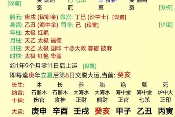 元贞亨利八字排盘分析与解读技巧