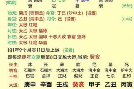 元贞亨利八字排盘分析与解读技巧