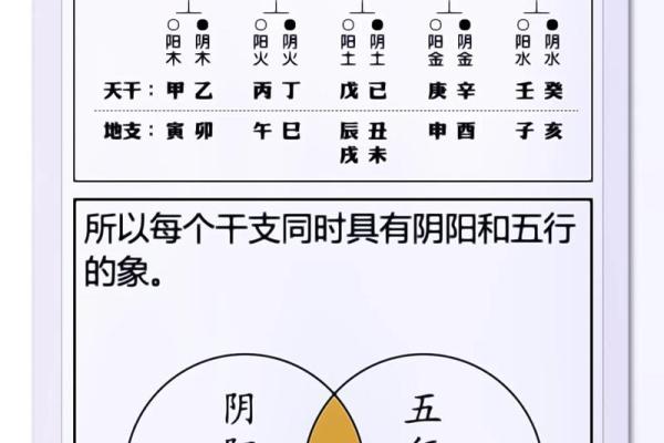 明五行属性的深层解析与应用探讨