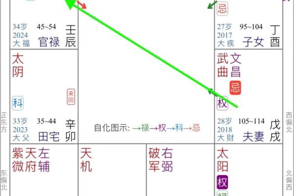 飞星紫薇排盘的应用与实战技巧