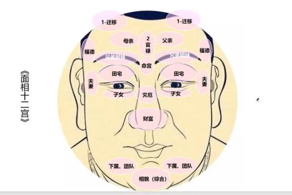 面相解读：从五官看你的健康与运势