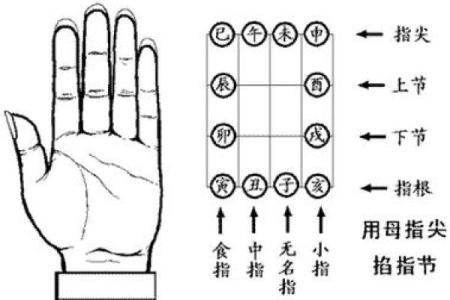 初学者指南：掌握排盘技巧提升自我认知