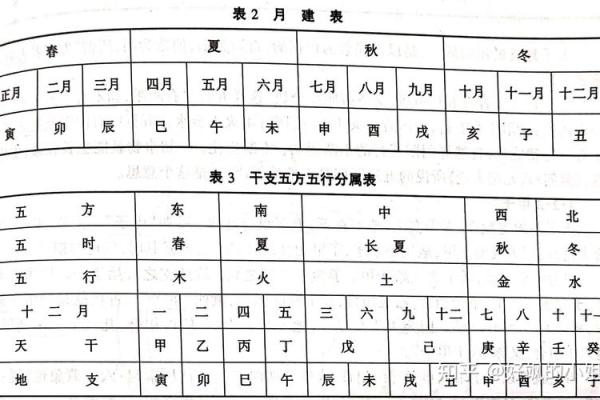 探索天干配数与命运之间的关系