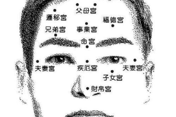 男人面相分析：哪些面部特征代表好运