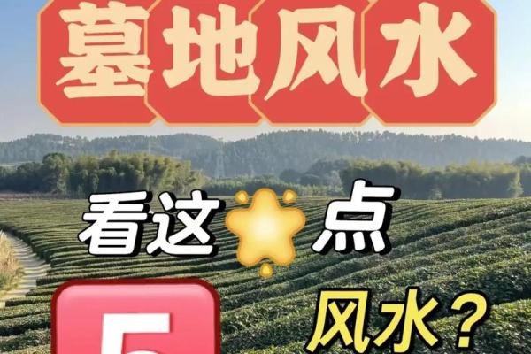 如何利用山地风水为祖先选择理想墓地