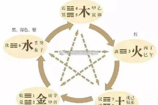 洲字五行属性解析及其在命理中的作用